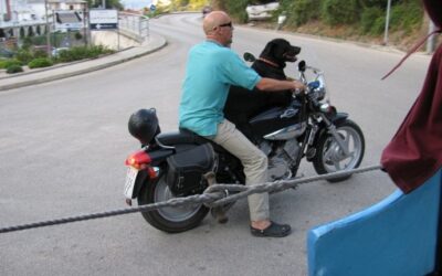(Uz motor) pas je čovjekov najbolji prijatelj